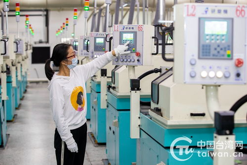 聚力轉型強動能,江蘇泰州臺資企業拓展提質邁出新步伐