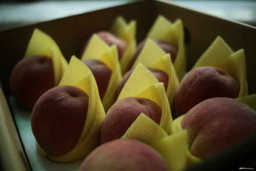 自然之禮 桃、蘋果與覆盆子的美食攝影魅力
