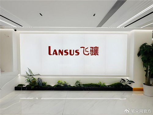 飛驤科技IPO挑戰 前五月營收凈利下滑，高負債率引關注