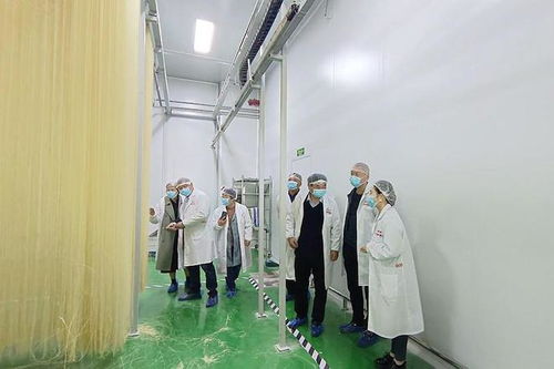 潢川欣然工藝品公司 以匠心傳承，打造民間文化教育與研學旅行新標桿